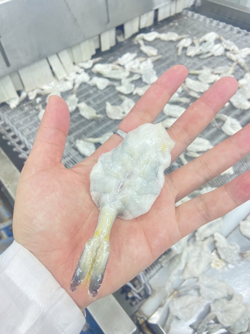 【蝴蝶虾仁】可定制，欢迎各位老板前来洽谈