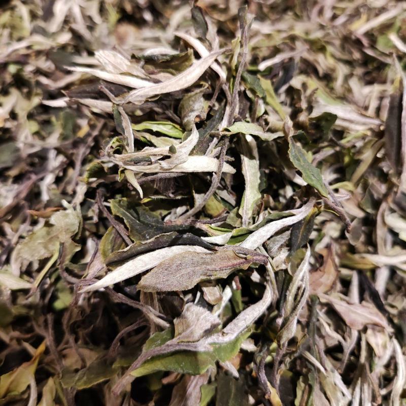 2022云南乔木古树白茶白牡丹花香型清甜白茶