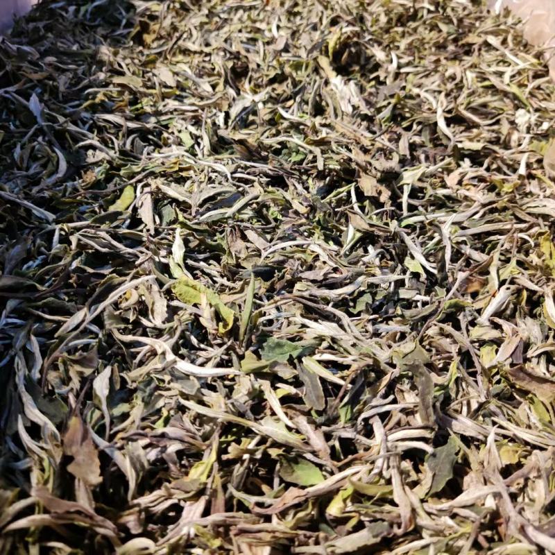 2022云南乔木古树白茶白牡丹花香型清甜白茶