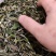 2022云南乔木古树白茶白牡丹花香型清甜白茶