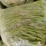 线椒美滋美味，更香更辣更美味（精品线椒大量上市）
