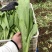 油麦菜，精品蔬菜，货源稳定，每天新鲜采摘，基地直供