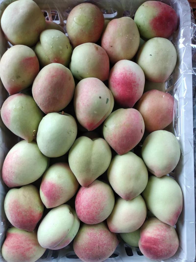广西桂林优质蜜桃春美，货源充足，质量保证