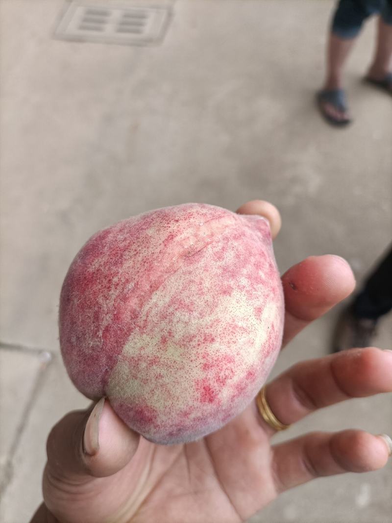 云南高山红宝石