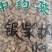 银柴胡干货欢迎选购！量大从优