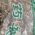 泽漆干货批发零售常年经营中药材