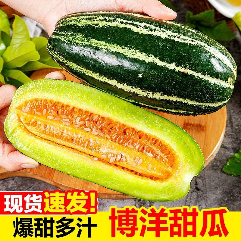 【精选】网文小蜜25.羊角密，博洋甜瓜，玉姑供社区团购，