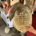 精品黄沙鳖正宗广西金田黄沙鳖甲鱼规格齐全欢迎咨询