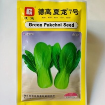 德高菜种子夏龙7号青梗菜种子耐热耐湿抗热夏秋蔬菜种子抗病