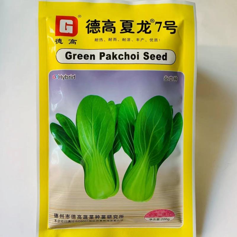 德高菜种子夏龙7号青梗菜种子耐热耐湿抗热夏秋蔬菜种子抗病