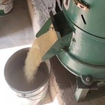 南山小米，玉米