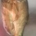 整条腊鲢鱼