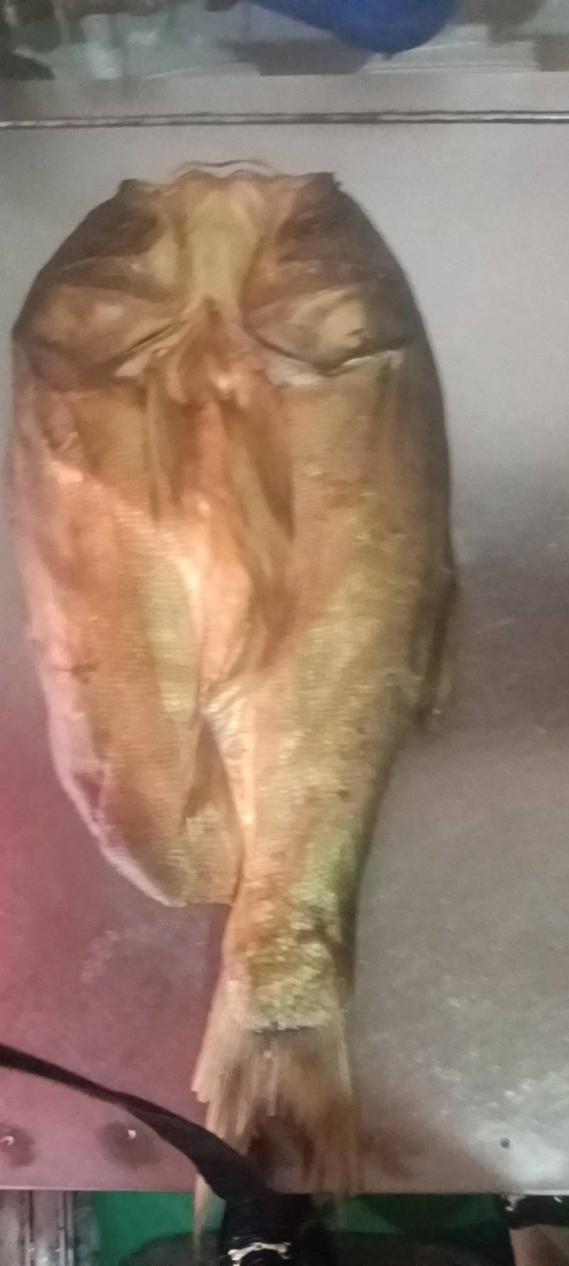 整条腊鲢鱼
