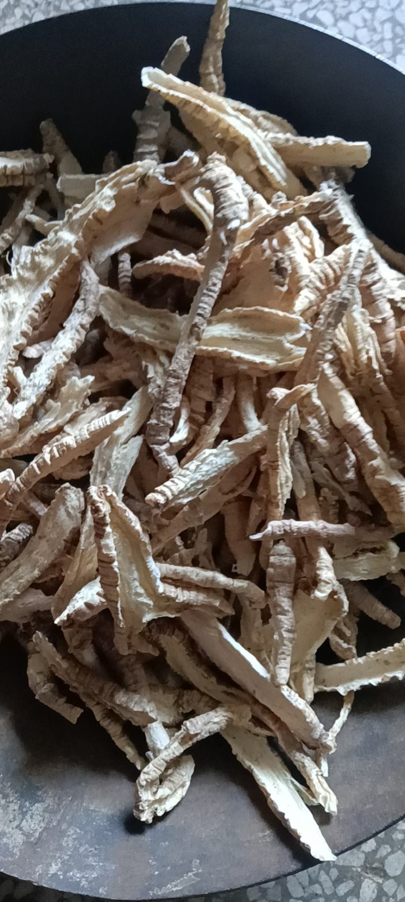 一手货源山海螺，品质保证，量大从优