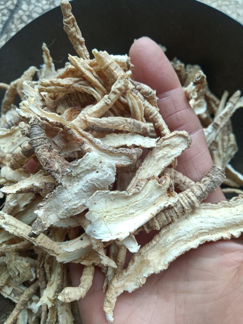 一手货源山海螺，品质保证，量大从优