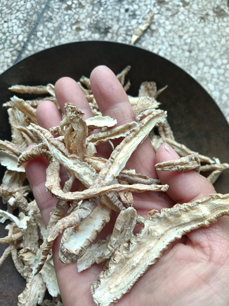 一手货源山海螺，品质保证，量大从优