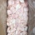新鲜鱼腩冷冻现取巴沙鱼腩鱼腹海鲜水产鱼腩翅肉块干尾20斤