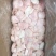 新鲜鱼腩冷冻现取巴沙鱼腩鱼腹海鲜水产鱼腩翅肉块干尾20斤