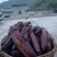 四川特产宜宾竹海腊肉正宗土猪鲜肉制作腊肉二刀肉特干级