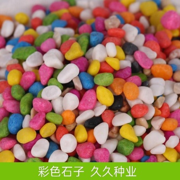 彩色石子七彩石盆栽装饰多肉铺面五彩石植物园艺鱼缸造景天然