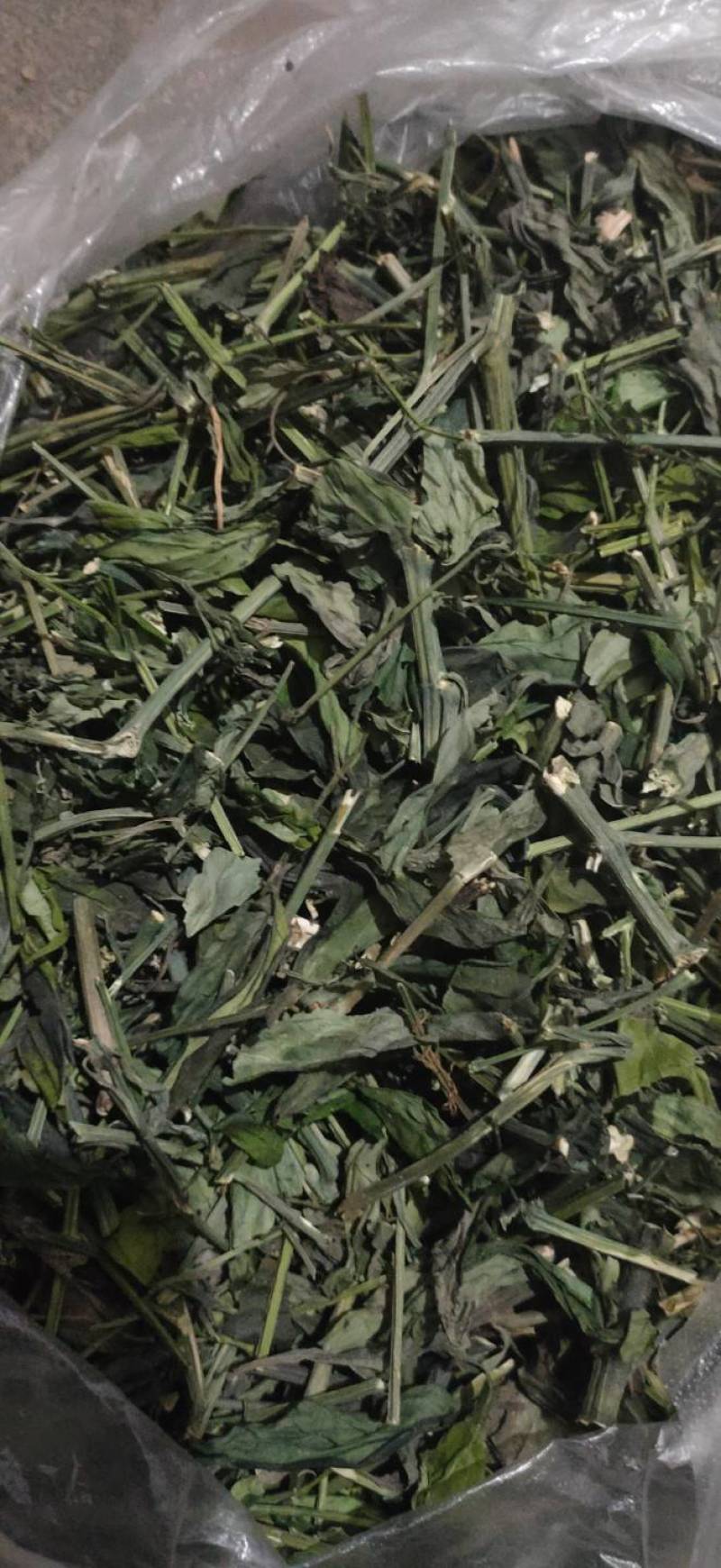 穿心莲全棵切段
