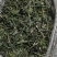 穿心莲全棵切段