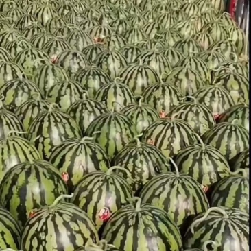 西瓜