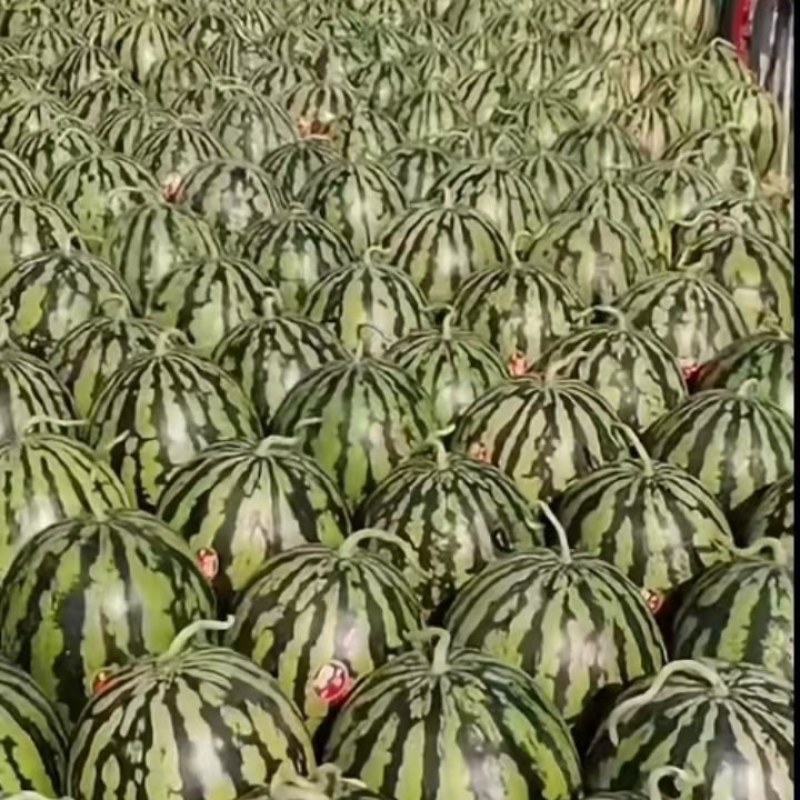 西瓜
