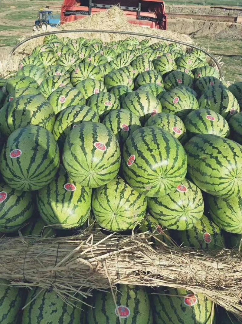 湖北货运
