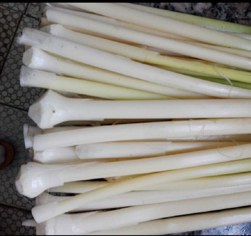 微山县野生蒲菜
