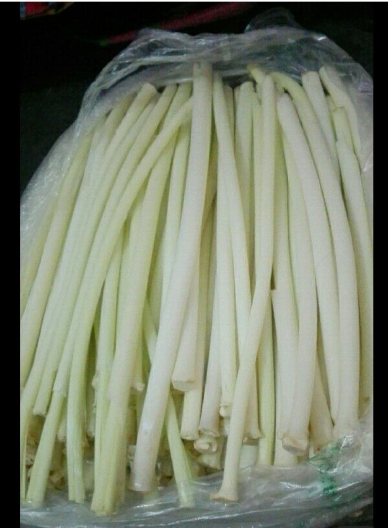 微山县野生蒲菜
