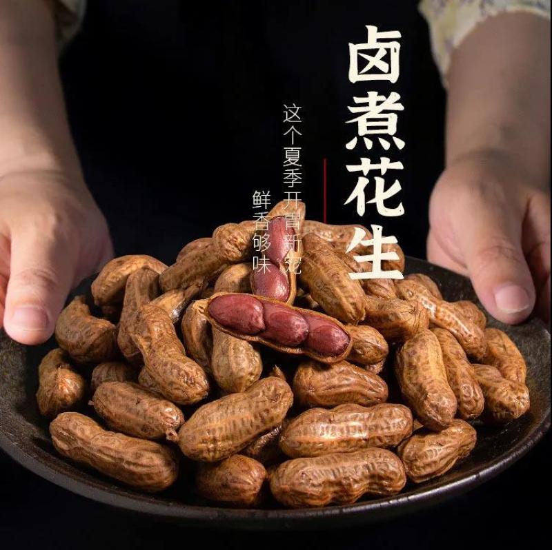 水煮花生带壳卤香味盐水煮花生零食凉菜小吃下酒.