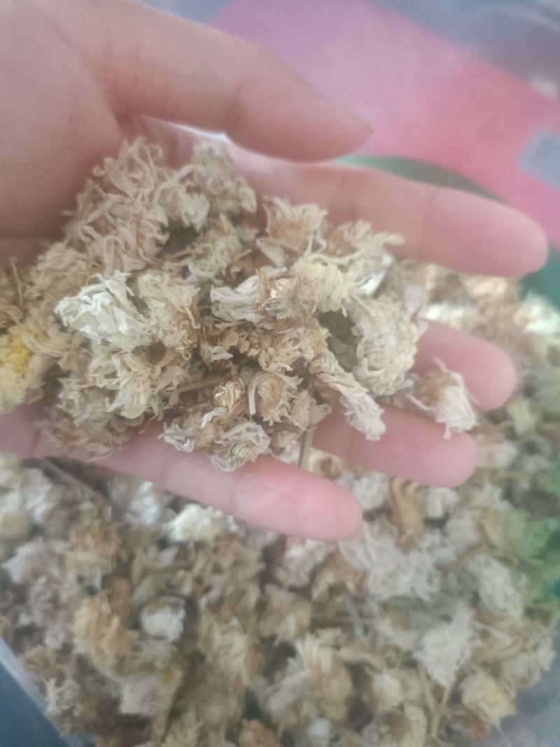 【傲宇药材】菊花药用菊花过筛诚信药材