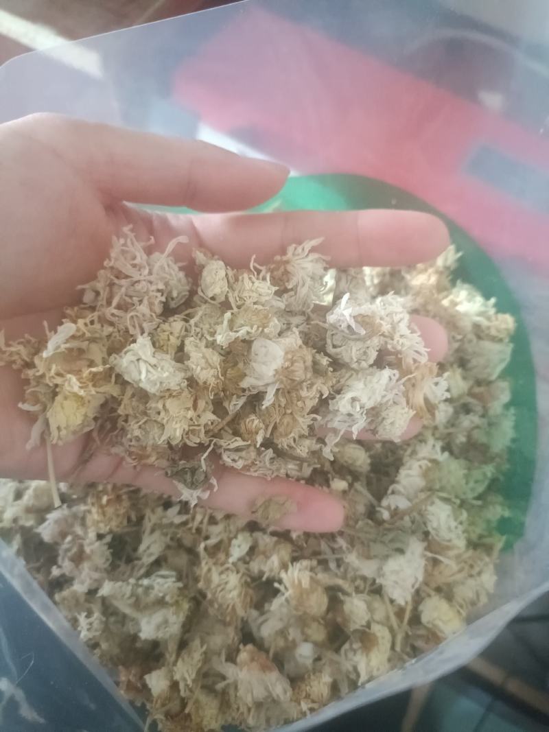 【傲宇药材】菊花药用菊花过筛诚信药材