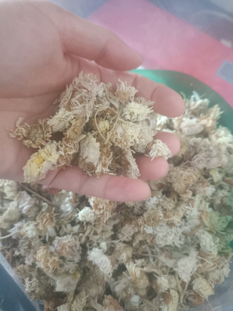 【傲宇药材】菊花药用菊花过筛诚信药材