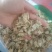 【傲宇药材】菊花药用菊花过筛诚信药材