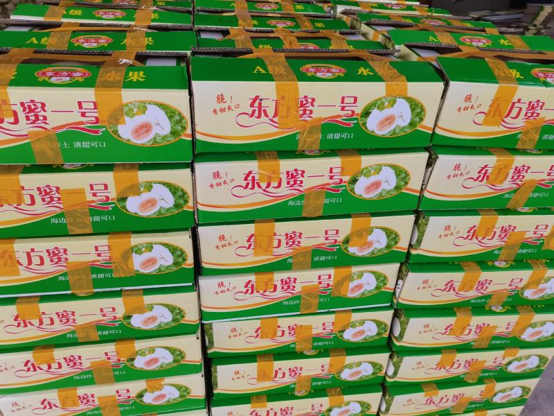 红金蜜甜瓜甜瓜甜瓜一手货源产地直销