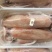 东山活冻带饭小管带籽母管有糕满膏红管鱿鱼一口管脆管海灯捕