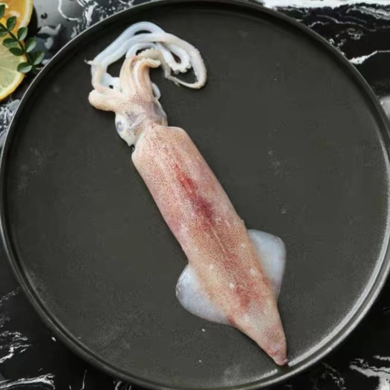 东山活冻带饭小管带籽母管有糕满膏红管鱿鱼一口管脆管海灯捕