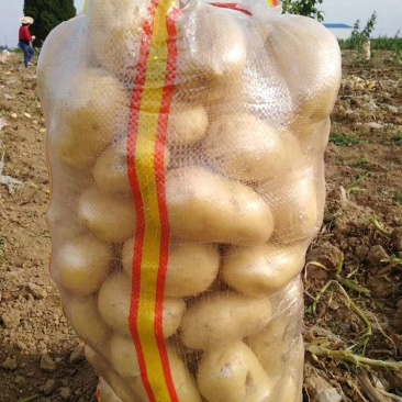 土豆精品土豆湖北襄阳精品中薯5号，万亩基地，量大从优