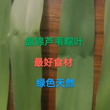 苇叶，粽叶