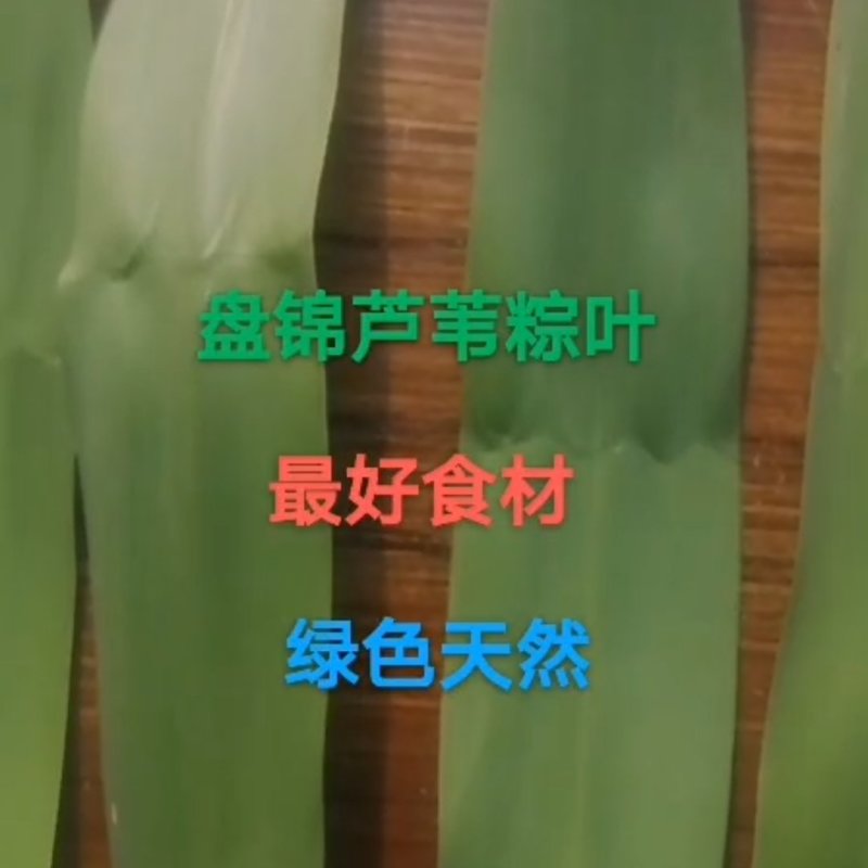 苇叶，粽叶