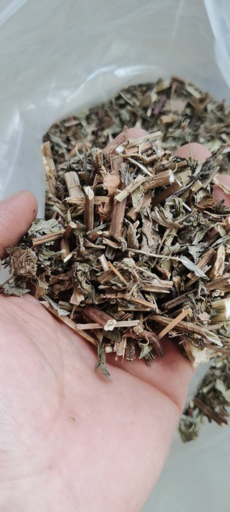 薄荷全颗切段，无硫熏，