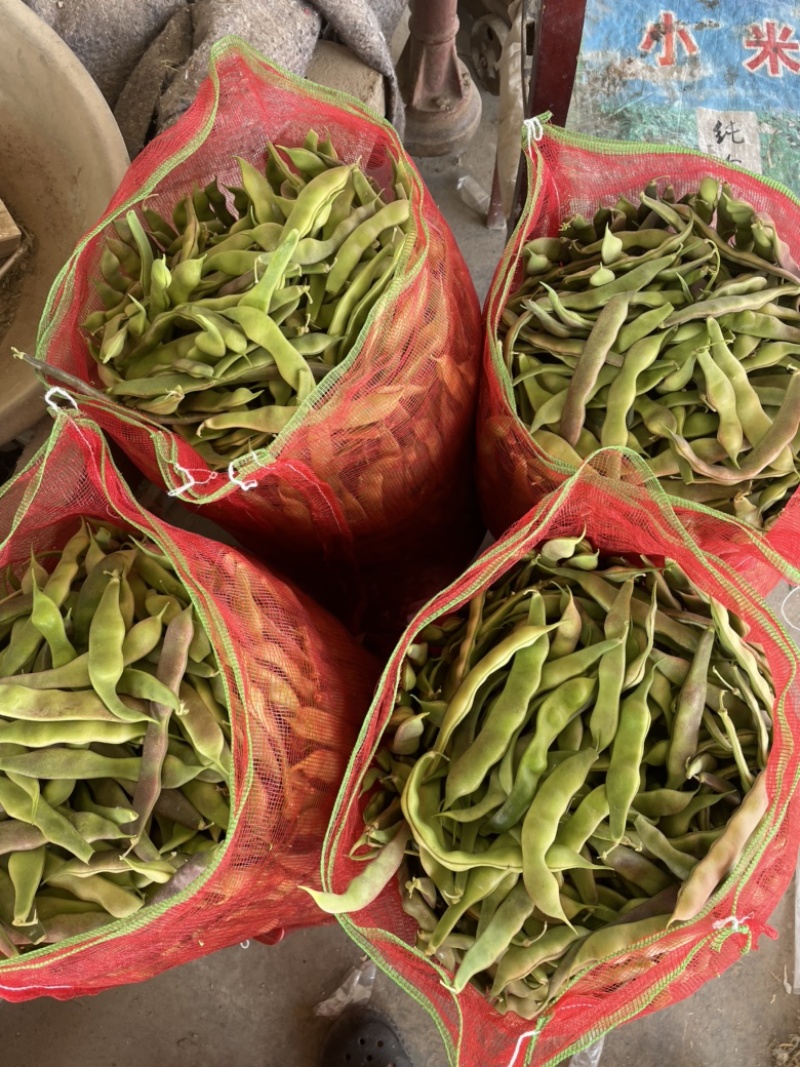 油豆芸豆豆角！电商！商场！市场！大量供应