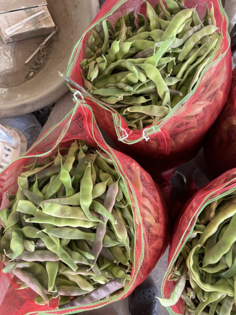 油豆芸豆豆角！电商！商场！市场！大量供应