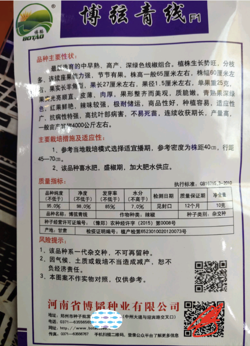 博弦青线F1辣椒种子果长27厘米亩产8000千斤皮薄肉厚