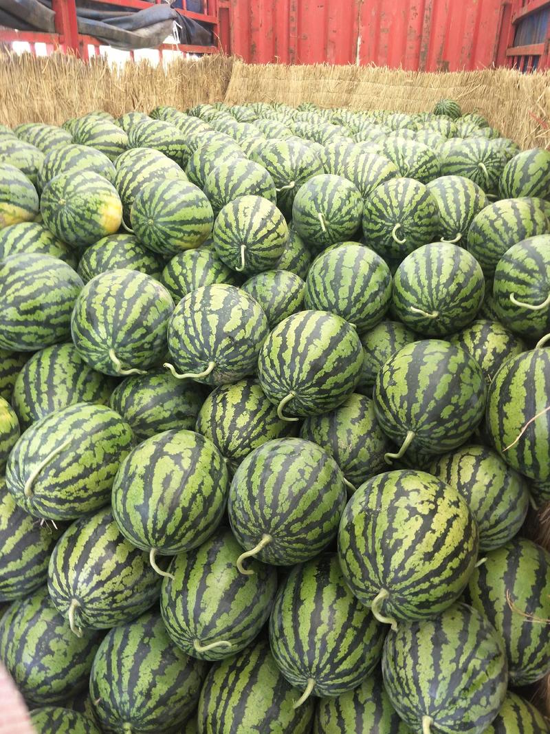 安徽甜王西瓜，黑籽，大红瓤，货源充足，实力代收，质量保证