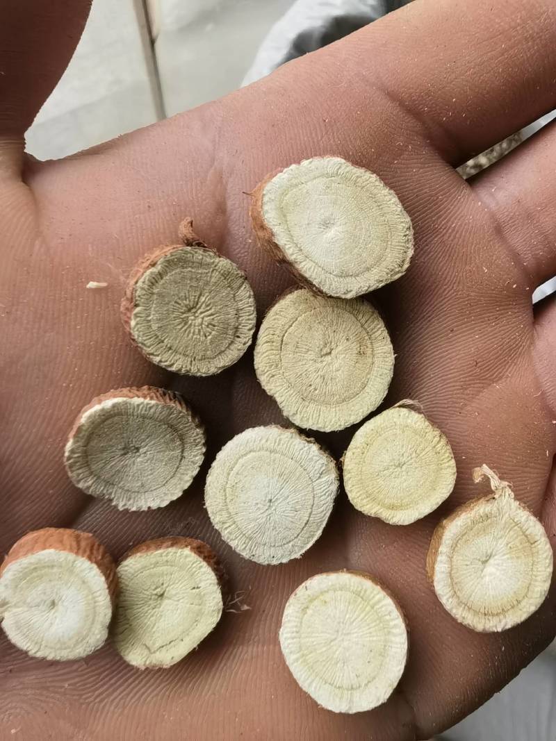 甘草片新疆甘草2.0以上甘草1000g起批关书药业