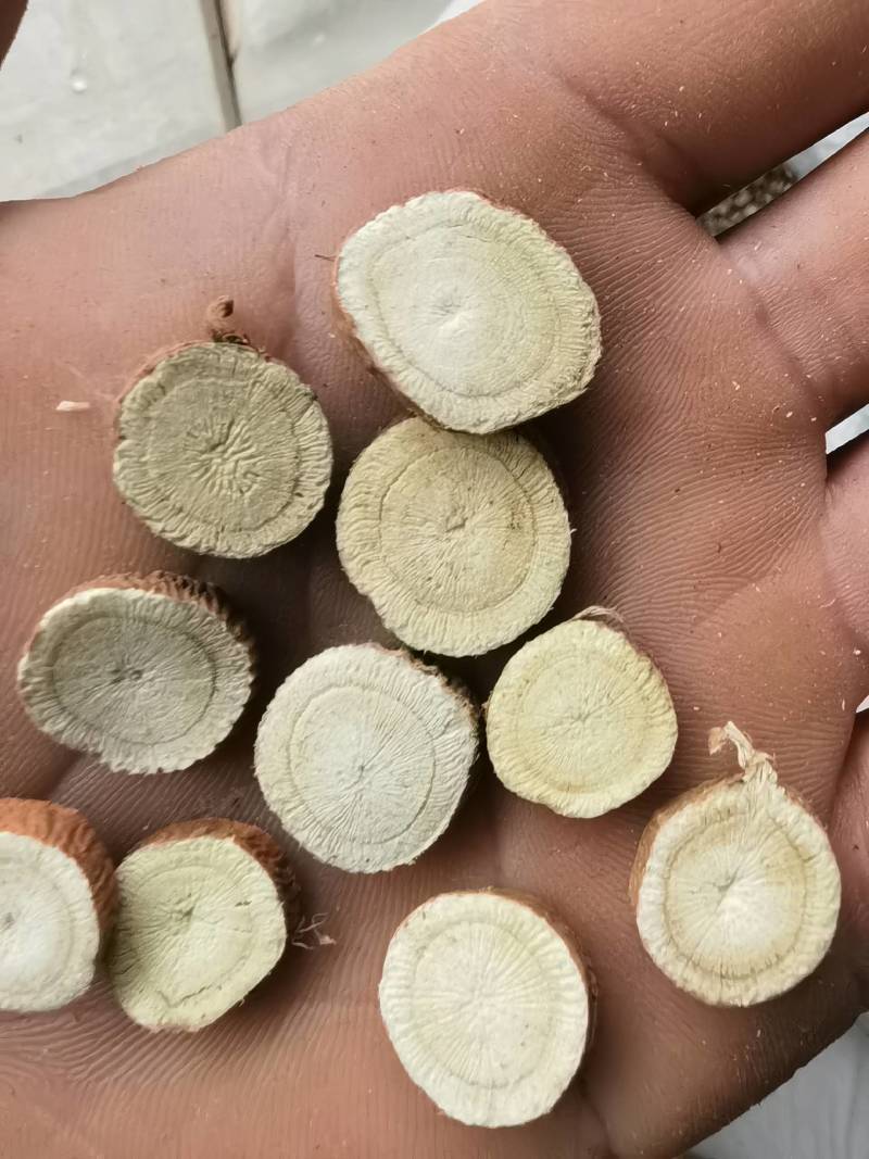 甘草片新疆甘草2.0以上甘草1000g起批关书药业