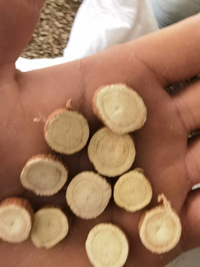 甘草片新疆甘草2.0以上甘草1000g起批关书药业